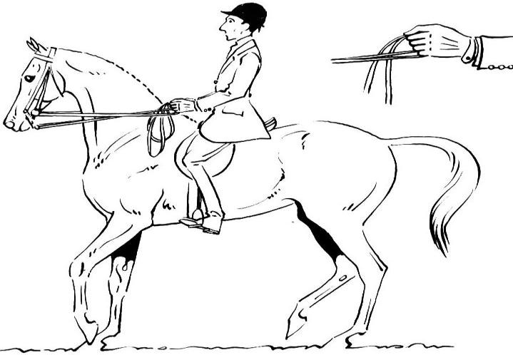 Kuvvetli İstinat: Binicinin yumrukları ile atın ağzı arasındaki bağlantının en gergin olduğu durumdur.