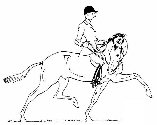 İleri sürüşle birlikte uygulanmadığında dizginle yapılan etkiler, atın ön kısmı ile arka kısmını böler.