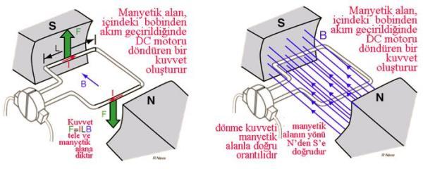 Resim 2.0 Sabit manyetik alan içinde kalan bobinin dönme kuvveti manyetik alan ile doğru orantılıdır (Resim 2.0). Resim 2.