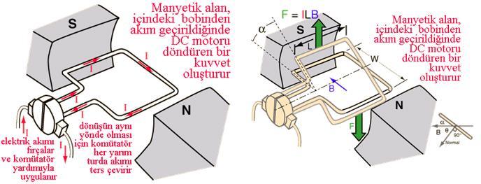 Resim 2.2 Bobin döndükçe manyetik alan ile bobin arasında bir α açısı oluşur. Aradaki açının kosinüsü ile doğru orantılı olarak döndürme kuvveti de azalır. Bu durumda kuvvet F=I.L.B.cosα formülü ile hesaplanır.