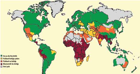 Kartogram 1. Dünyada su kıtlığı Kaynak: WWAP (2009) Dünya su kaynakları üzerinde artan baskılar sadece insanları değil diğer canlıları da olumsuz etkilemektedir.
