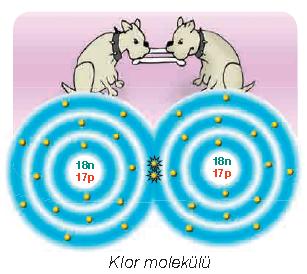 Bileşikler, kendilerini oluşturan elementlerden tamamen farklı fiziksel ve kimyasal özelliklere sahiptir. Bileşikler moleküllerden oluşmuşsa bu moleküllerdeki atomlar arasında kovalent bağ vardır.