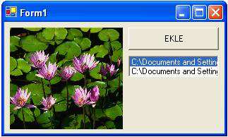 ÖRNEK: Listeden seçilen resmi picturebox ta görüntüleyen programı yazınız. Private Sub Button1_Click(ByVal sender As System.Object, ByVal e As System.