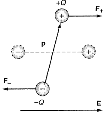 Elektrostatik Alan İçinde İletkenler ve Yalıtkanlar (4) Kutuplaşmış bir yalıtkan boşlukta duran dipoller topluluğu olarakdüşünülebilir.