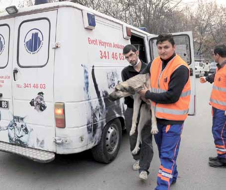 Uyarıyı dinlemeyene kapatma cezası Bölgedeki dükkan ve depo sahiplerini defalarca uyardıklarını belirten Güldoğan, şöyle devam etti: Kendi sitelerine taşınmamakta direnen hurdacıların malzemelerine