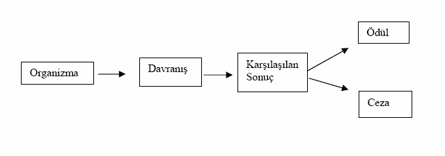 Şekil 8: Davranışların Şartlandırılması Teorisine Göre Motivasyon Süreci Kaynak: Koçel,2001,s.520.