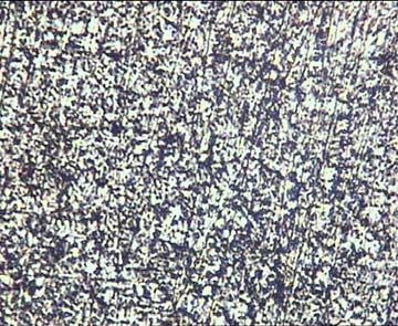 50 10 µm 10 µm a) Hava yüzü b)