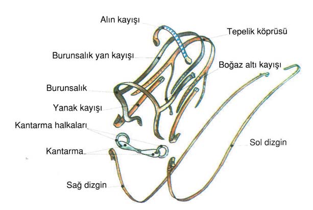 2 MALZEMELERİN BAKIMI Malzemelerin bakımını doğru yapabilmek için, onların tamamen sökülmesi gerekiyor. Başlık Sökmek: Başlık sökmek çok kolaydır.