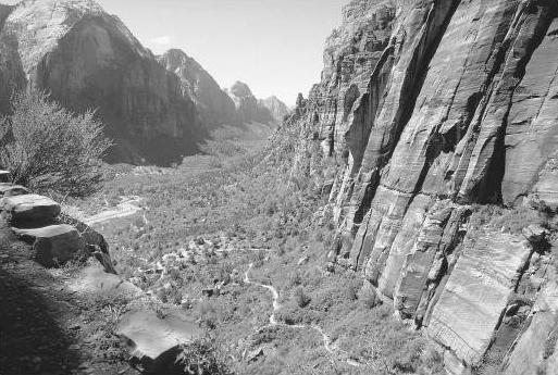 25 Ekolojist olmak istiyorum! Utah Zion Ulusal Parkı ndaki bu vadi gibi doğal kaynakların kirlenmesiyle ilgili endişeler, 1990 larda yeşil kimyanın gelişimini hızlandırmıştır. 2.8.