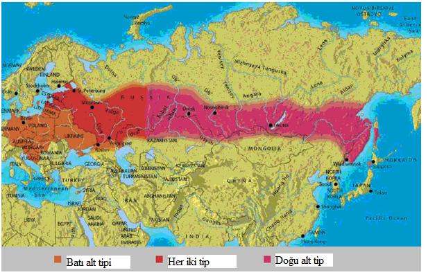 4 TBE virüsü (kenelerde ve omurgalı konaklarda) tropik olmayan Avrupa orman kuşaklarının tüm güney kısmında, Batıda Alsae Lorraine de ve doğuda Çin in kuzey ve güneye ait bölgelerinde dağılım