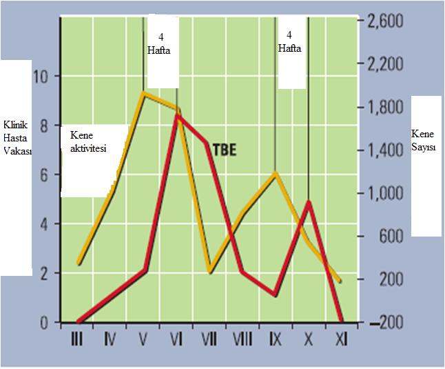 5 Çizelge 1.2 2005-2009 yılları arasında TBE hastalık sıklığının arttığı ülkeler (Kim ve ark.