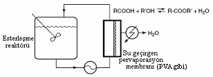 Şekil 17 de verilen örnekte, esterleşme reaksiyonunda oluşan su, polivinilalkol (PVA) membran yardımıyla uzaklaştırılır. Bu şekilde dengenin sürekli sağa doğru olması sağlanır [32]. Şekil 17.