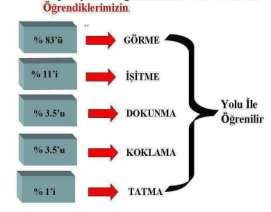 Şekil 4 Şekil 2 ye göre, görme duyu organlarımız içinde öğrenmemizde en fazla işlevi olan organdır.