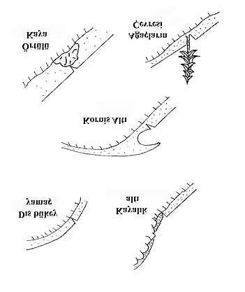 oluşturmaya