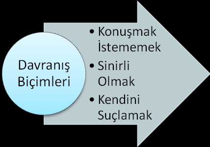 85 Engel Sinirli olmak:k1 Kendini suçlamak:k2 KonuĢmak istememek:k3 ġekil 10: