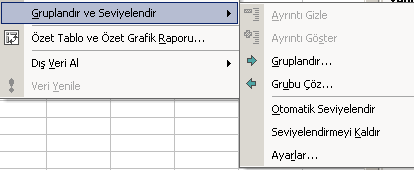 Gruplandır ve Seviyelendir Şekil 4.25: Gruplandır ve Seviyelendir Seçeneği Ayrıntı Gizle: Ana hat çalışma sayfasında, seçilen özet satır veya sütunun ayrıntı satırlarını veya sütunlarını gizler.