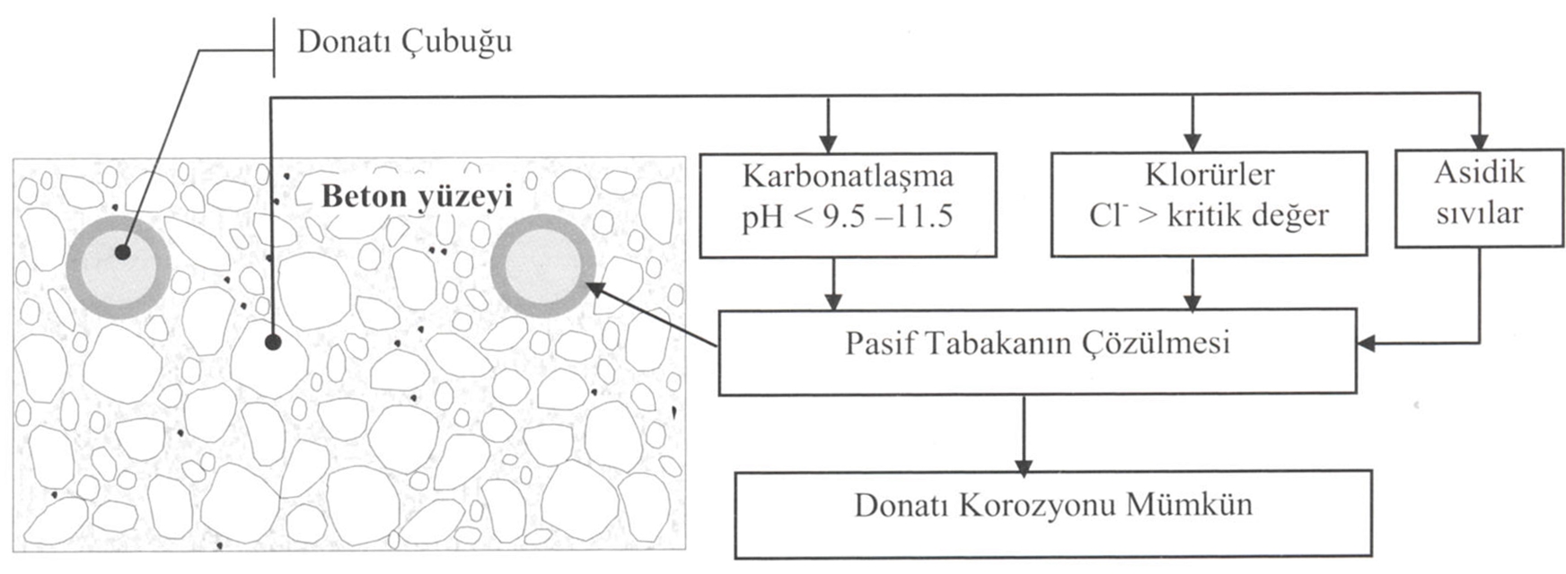 Karbonatlaşma veya klorür iyonları nedeniyle