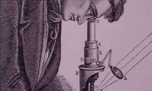 İlk mikroskop 1660 da Hollanda'lı Leuvenhoek tarafından yapılmıştır. Günümüzde büyütme gücü 100.000.' leri geçen elektron mikroskobuna kadar gelinmiştir. İnsan gözü 0.1 mm.