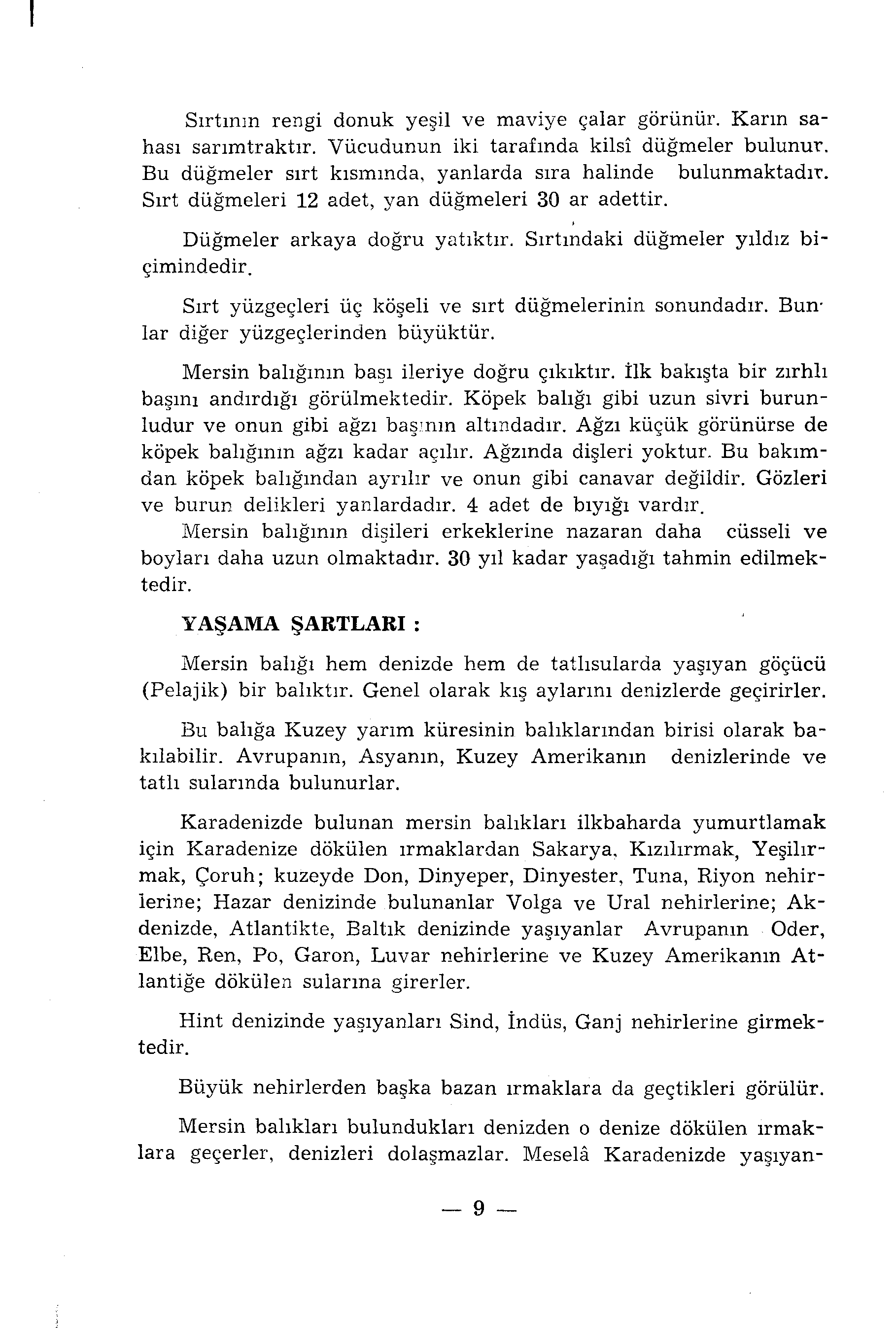 Sırtının rengi donuk yeşil ve maviye çalar görünür. Karın sahası sarımtraktır. Vücudunun iki tarafında kilsi düğmeler bulunur. Bu düğmeler sırt kısmında, yanlarda sıra halinde bulunmaktadır.