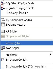 Kolonlar arası yer değiştirme: Tablo rapor alındıktan