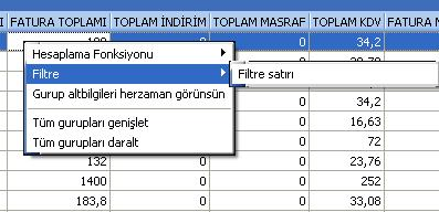 Ayrıca bir başka filtre verme yöntemi de şudur; Rapor içerisinde sağ fare tuşundan Filtre satırı seçilirse kolonların altında filtre satırı