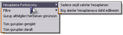 Ekle denildiğinde ilgili kolonun altına hesaplama sonucu gelir. Hesaplamayı silmek için ise ilgili kolonda iken sil yazmak yeterlidir.