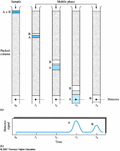 7 Sıyırma (Elüsyon) Kromatografisi Teorileri Şekil-3'de, bir kromatografik kolonda A ve B maddeleri karışımı bir örneğin, sıyırma işleminin kısa ve uzun olması halinde verdiği konsantrasyon profili