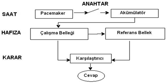 357 Zaman Algısı ve Psikiyatrik Bozukluklar min edilmesi gereken zaman aralığı süresi arttıkça buna bağlı olarak standart sapma orantılı olarak artmaktadır.