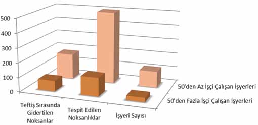 Devam eden noksan hususlar yönünden değerlendirme yapıldığında, 50 den az işçi çalıştırılan işyerlerinde sadece ilkyardım elemanının yokluğuna noksan olarak rastlandığı görülmüştür.