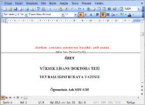 şeklinde numaralanacak) şablon içerisinde farklı bölümler oluşturulmuştur.