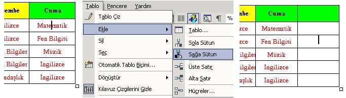 Ekle yi ve İpucu: Birden fazla satır eklemek ekleyeceğiniz için önce noktadan itibaren ekleyeceğiniz satır sayısı kadar seçin. Tablo menüsünden komutunu verin.