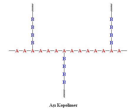 15 Aşı (Graft) Kopolimer; bu tür kopolimerlerde bir monomerden elde edilen polimer zincirine, başka bir monomerden elde edilen, nispeten daha kısa polimer zincirleri yan zincir olarak bağlanmaktadır.