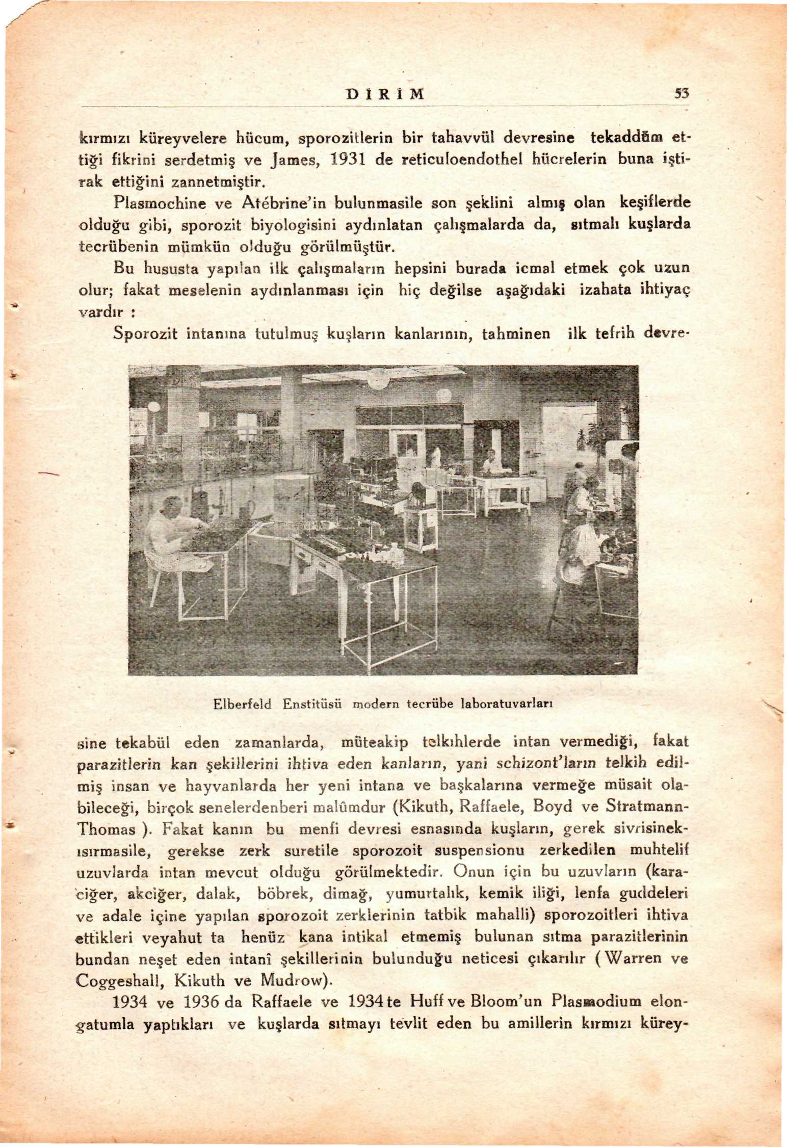 D R M 53 kırmızı küreyvelere hücum, sporozitlerin bir tahavvül devresine tekaddüm ettiapplei fikrini serdetmi ve James, 1931 de reticuloendothel hücrelerin buna i tirak ettiappleini zannetmi tir.