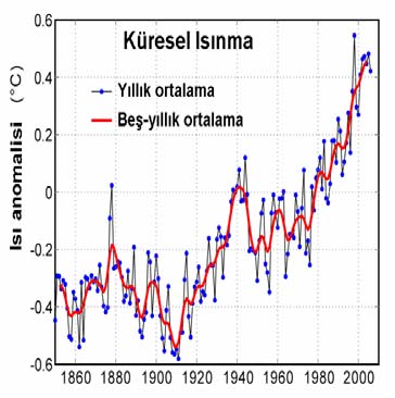 Evrimin günlüğü DNA nın işlevsel olduğu başka alanlar vardır.