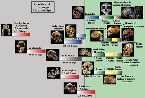 Evrim sağlık bilimleri için de oldukça kullanışlı veriler sunar Evrim canlılığın temel özelliklerinden biri olduğundan hiç bir canlı, (insan türü Homo sapiens dahil) veya canlı bilimlerinde hiçbir