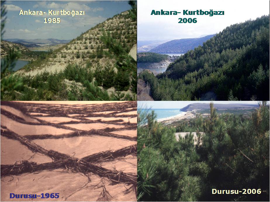 3.3 Erozyon Kontrolü ve Çölleşme İle Mücadele 2002 yılında 18.