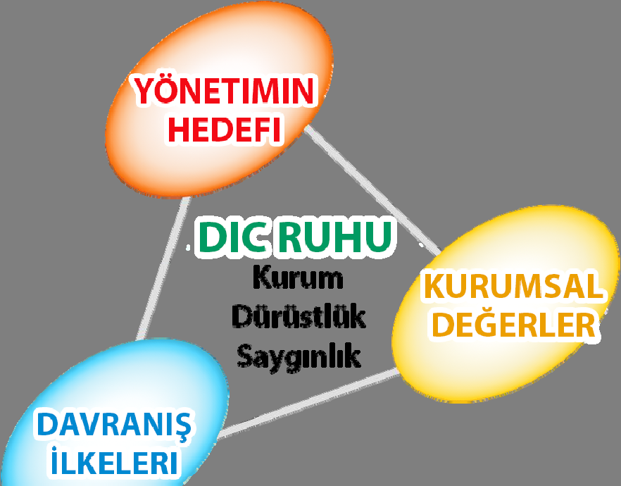 DIC'nin Çalışma Şekli DIC'nin Çalışma Şekli, Yönetim Vizyonumuz, Yönetim Standartlarımız ve Davranış İlkelerimizden oluşan DIC Grubu yönetim anlayışıdır.