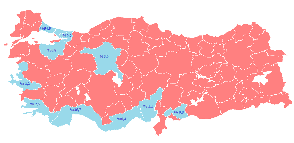 dikkate alındığında Onkoloji, Kardiyovasküler ve Estetik Cerrahisinin de ciddi olarak ön planda olduğu bilinmektedir.