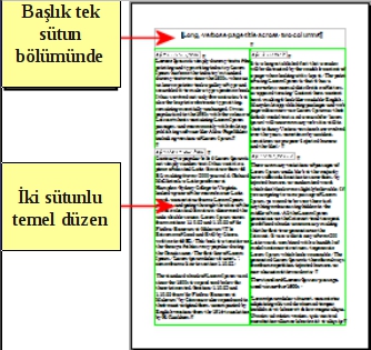 Bu kullanıcı kılavuzuna benzer bir kitap için tek sütunlu metin, yanında metin olmayan bazı resimler ve açıklayıcı metinleri olan diğer resimler, basit sayfa düzeni için sayfa biçemleri ve