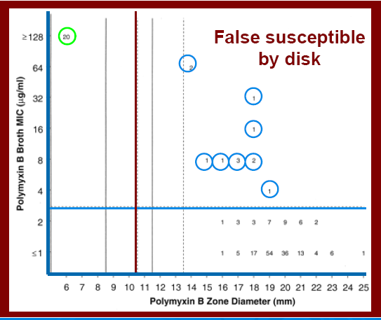 Kolistin: disk difüzyon her türde başarılı değil