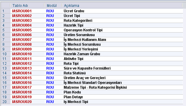 4- DESTEK TABLOLARI Resim-30 Yukarıda görüldüğü gibi rota modülünde yirmi adet destek tablosu tanımlanmış bulunmaktadır.