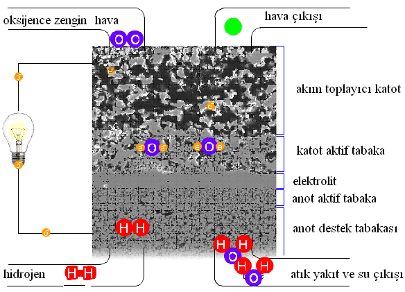 bileģenden (anot/elektrolit/katot) oluģmaktadır. ġekilde görülen katı elektrolit, sistemin en temel bileģenidir ve oksijen iyonik iletkenlik özelliği göstermektedir [1,2].