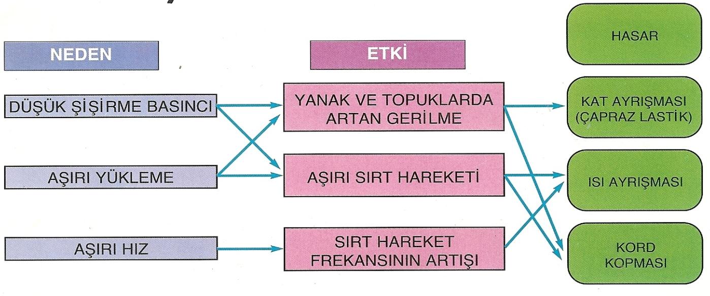 KESİK, KESİK AYRIŞMALARI SIRTTA PATİNAJ KESİĞİ SIRT MERKEZİNDE AŞINMA OMUZLARDAN AŞINMA YANAKTA KESİKLER KAT