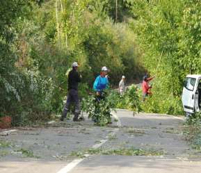 5105 5106 5107 5108 5109 Müdürlüğümüz Tarafından Ağaçlandırma Sezonunda İhtiyaç Duyulan Alanlarda Ağaç Ve Bitki Dikimi Yapılmaktadır. 2012 Yılında 13.335 adet Ağaç Fidanını 18.