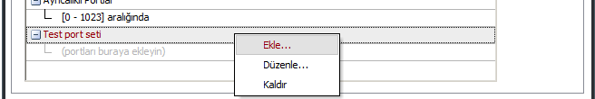 3. Uygula düğmesine tıklayın. Yeni port seti listede görünür: 4.