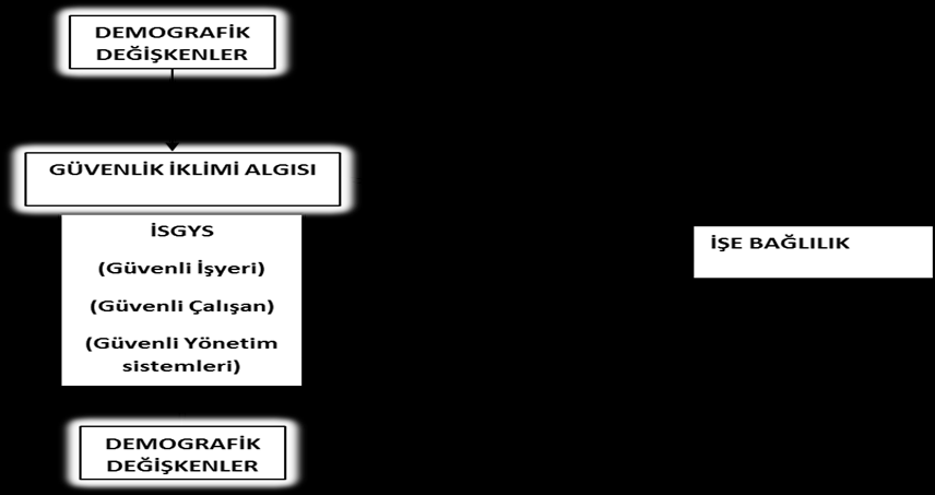 kuramının varsayımlarından hareketle demografik özelliklere göre örgütlerdeki ĠSG uygulamalarını ve güvenlik iklimi algılarının farklılaģtığı değerlendirilmektedir.