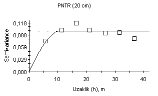 Toprakların PNTR dirençleri ve W içerikleri için oluģturulan kriging haritaları, linear ve küresel semivariogram modeller ile ham veriler kullanılarak 032 m x 0.