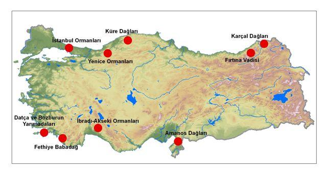 Şekil 3.7. Türkiye nin 9 sıcak noktası Kaynak: WWF, 1999; Lise, Y., Çok çalışkan, B. A., Ataol, M.