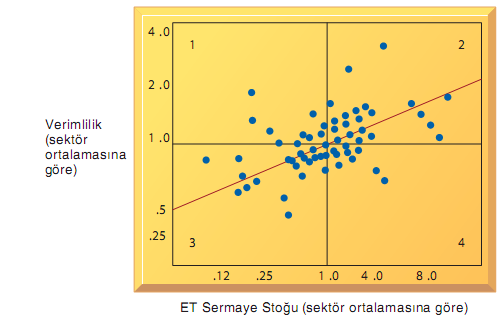 Bilgi Teknolojisi & Tamamlayıcı Varlıklar