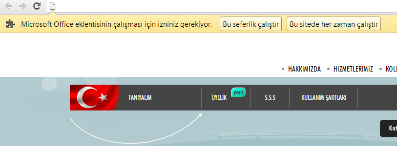 2.3.13. Kullanıcı Bilgisayar Özelliklerini Dikkate Alma (TS EN ISO 9241-151 10.10) 2.